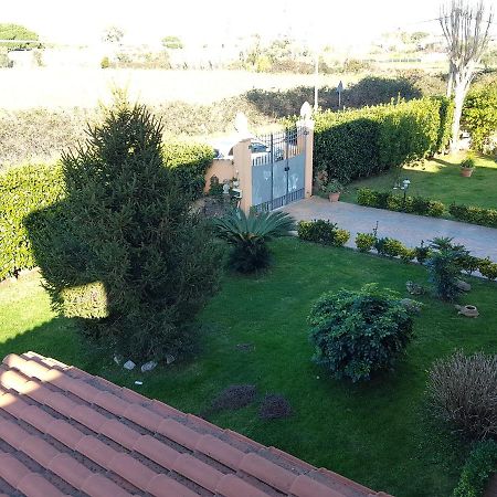 B&B Villa Elema Nettuno Eksteriør billede