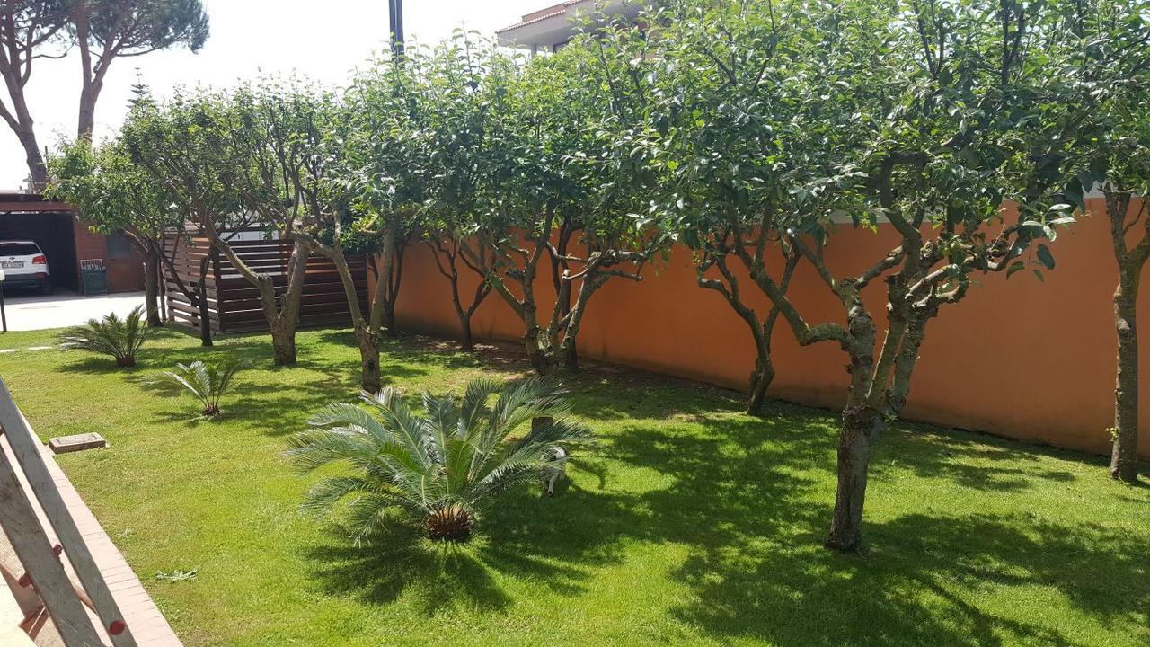 B&B Villa Elema Nettuno Eksteriør billede